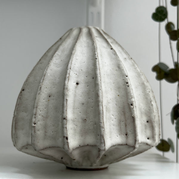 pod 07