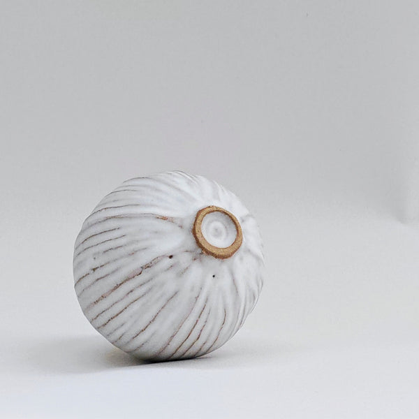 small pod 10